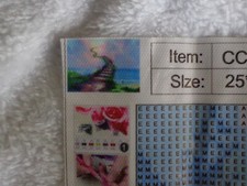 Nuovo Ponte Arcobaleno 5D