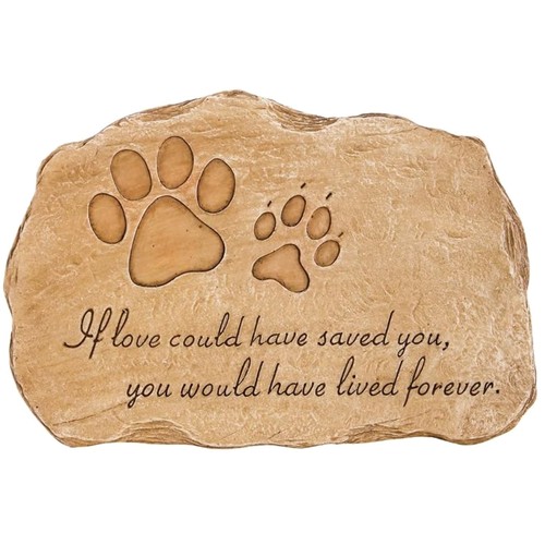 Rainbow bridge pet paw print - rainbow,