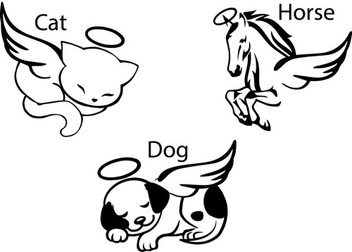Animali domestici con - animali,