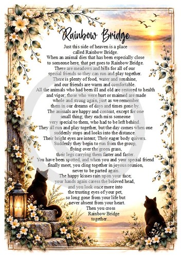 Poesia commemorativa gatto