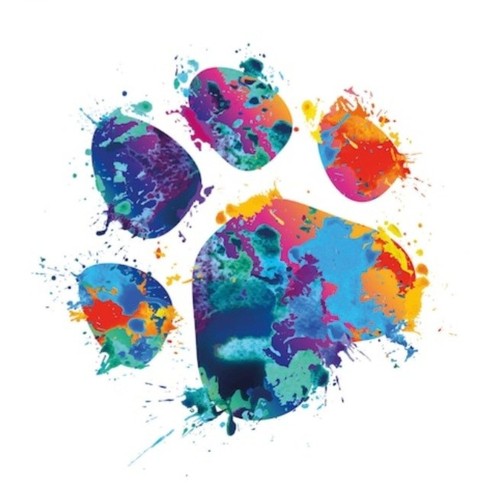 Rainbow paw temporary - paw,