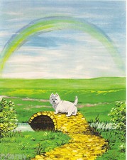 STAMPA 5x7 QUADRO WEST